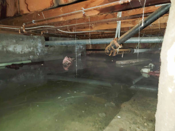 Best Commercial water damage restoration  in Gonzales, CA
