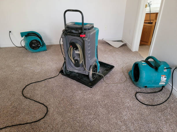 Best Local water damage restoration  in Gonzales, CA