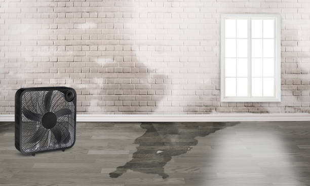 Best Emergency water damage restoration  in Gonzales, CA