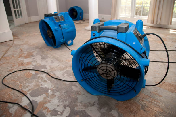 Best Basement water damage restoration  in Gonzales, CA