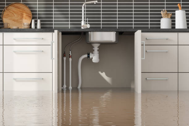Best Flood restoration services  in Gonzales, CA