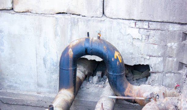 Best Professional water damage repair  in Gonzales, CA