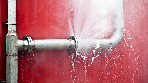 Best Water damage restoration process  in Gonzales, CA